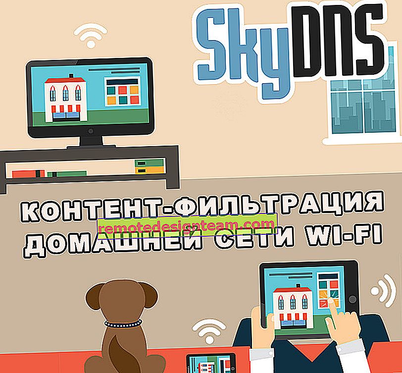 Pemfilteran SkyDNS untuk jaringan Wi-Fi rumah
